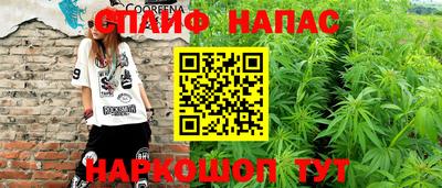 дживик Ливны